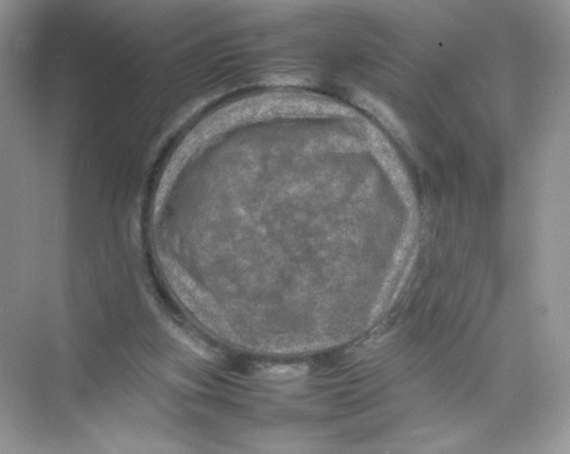 X0000074290155200609222318