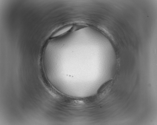 X0000074290159200609222318