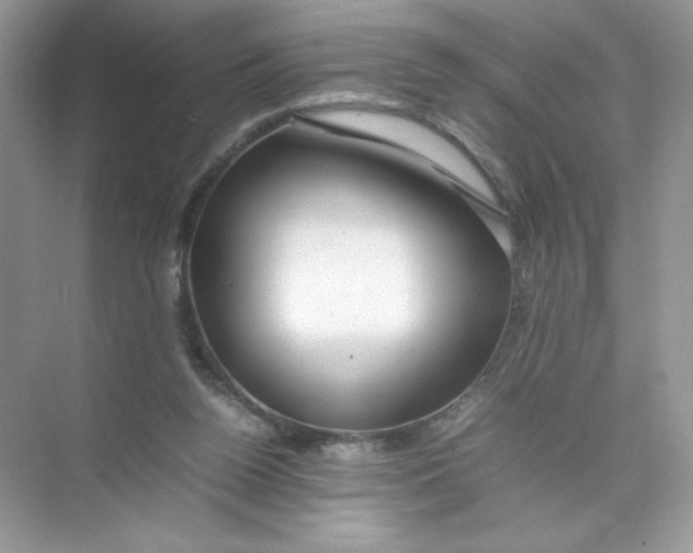 X0000074290160200609222318