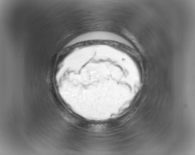 X0000074290161200609222318