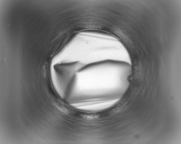 X0000074290165200609222318