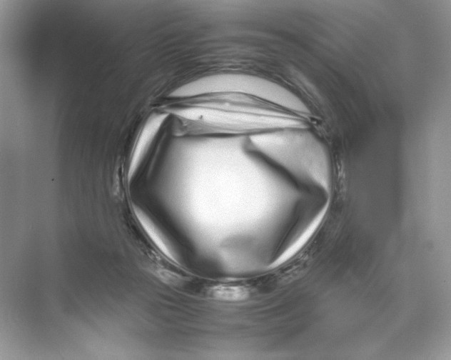 X0000074290169200609222318