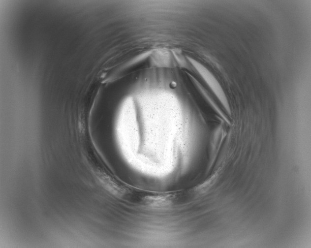 X0000074290170200609222318