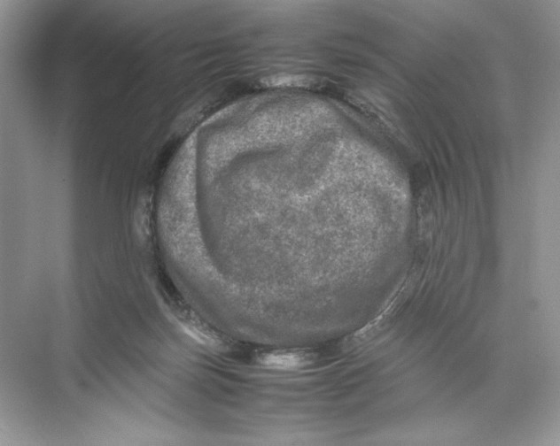 X0000074290171200609222318