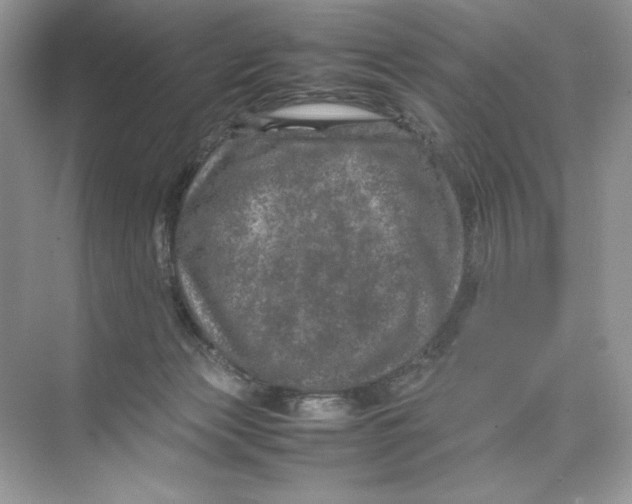 X0000074290173200609222318