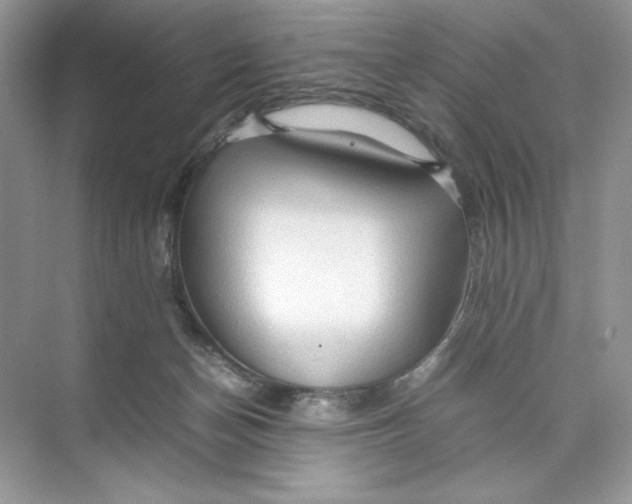 X0000074290174200609222318