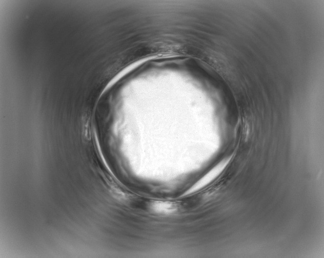 X0000074290177200609222318