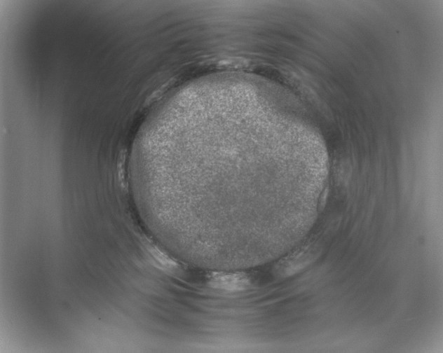 X0000074290185200609222318