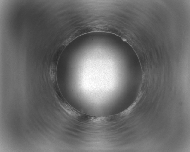 X0000074290186200609222318