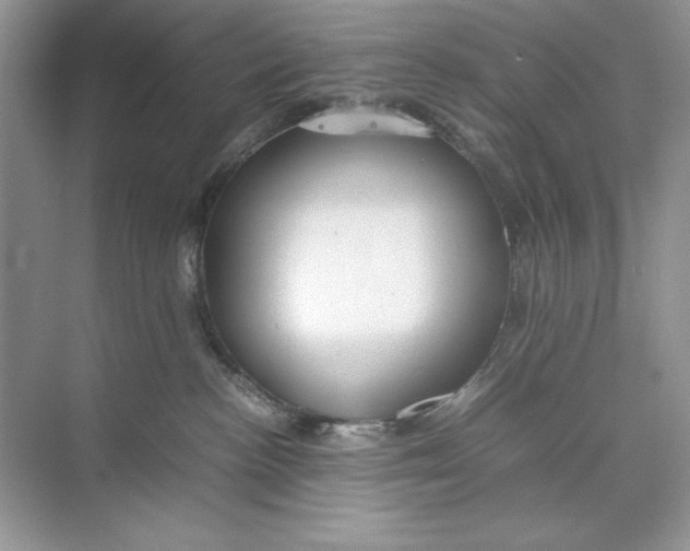 X0000074290188200609222318