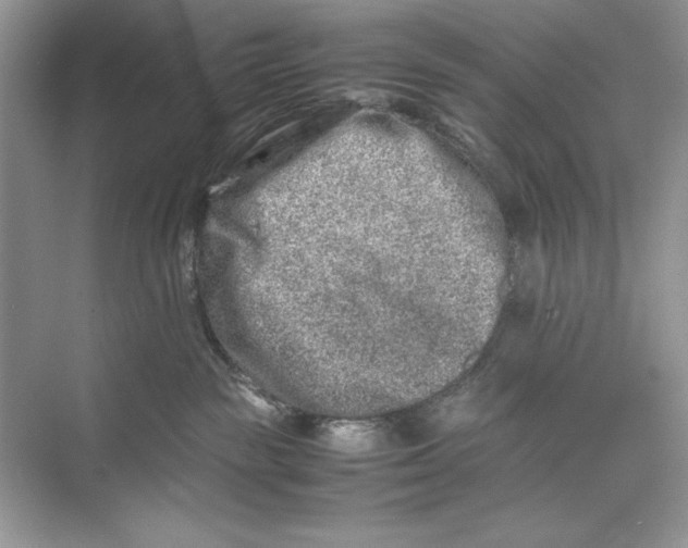 X0000074290189200609222318