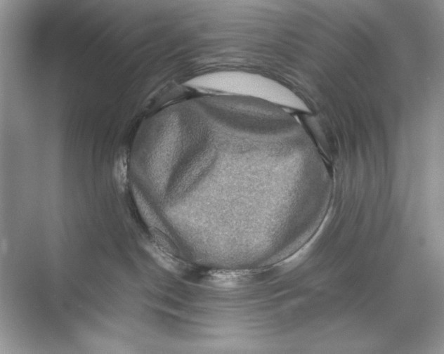 X0000074290190200609222318