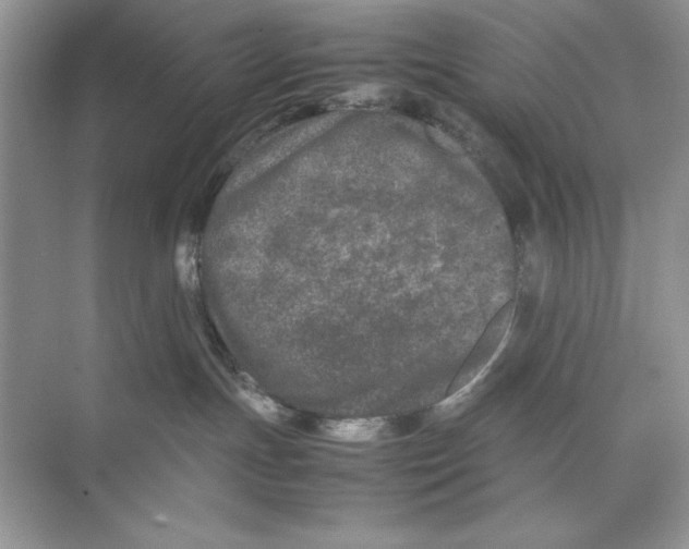 X0000074290191200609222319