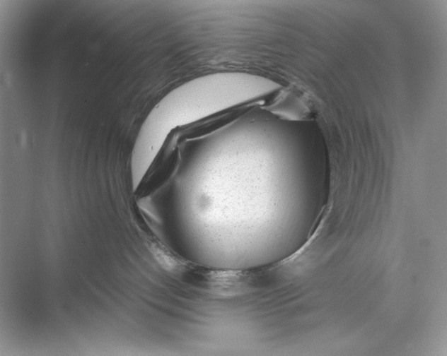 X0000074290192200609222319