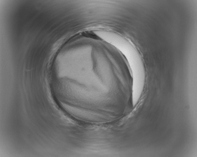 X0000074290193200609222318