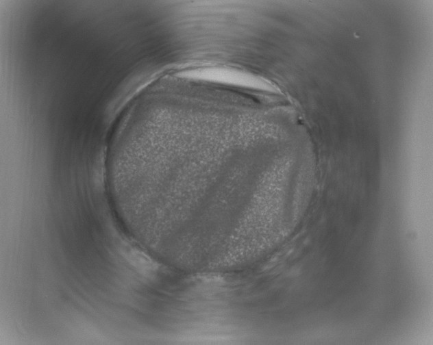 X0000074290194200609222318