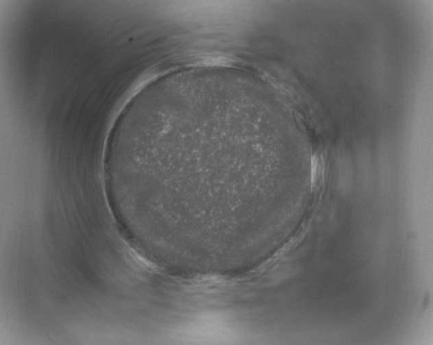 X0000074290195200609222318