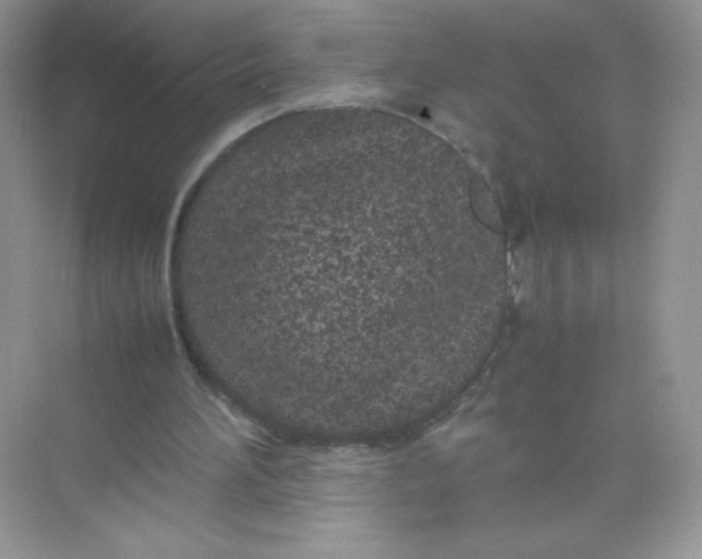 X0000074290196200609222318