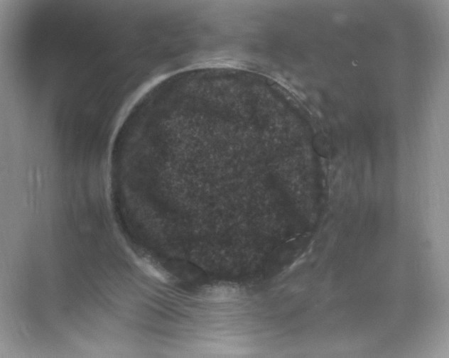 X0000074290200200609222318