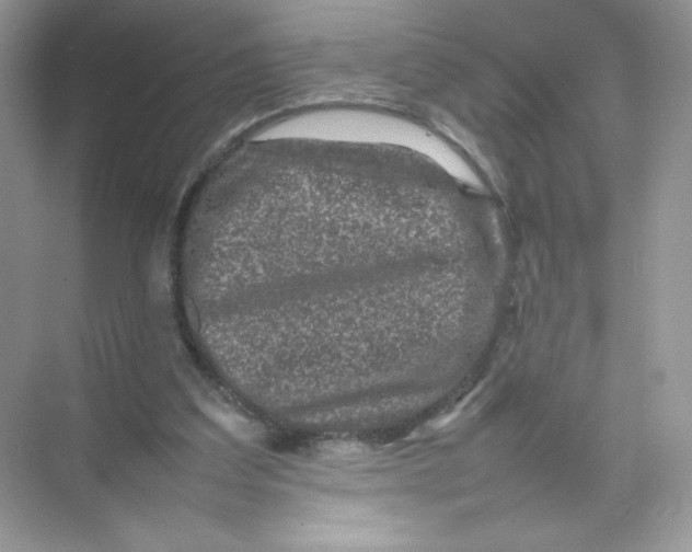 X0000074290203200609222318