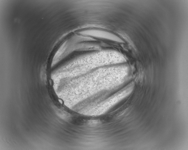 X0000074290204200609222318