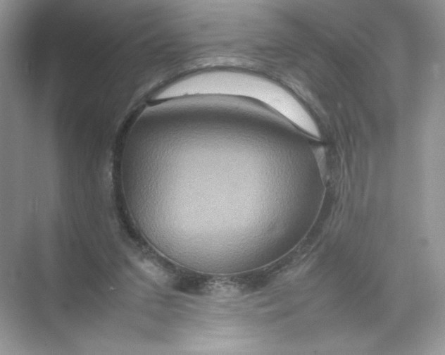 X0000074290207200609222317