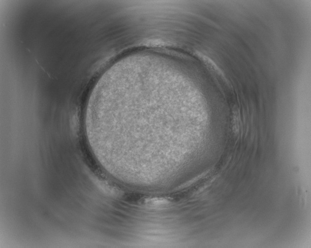 X0000074290208200609222317