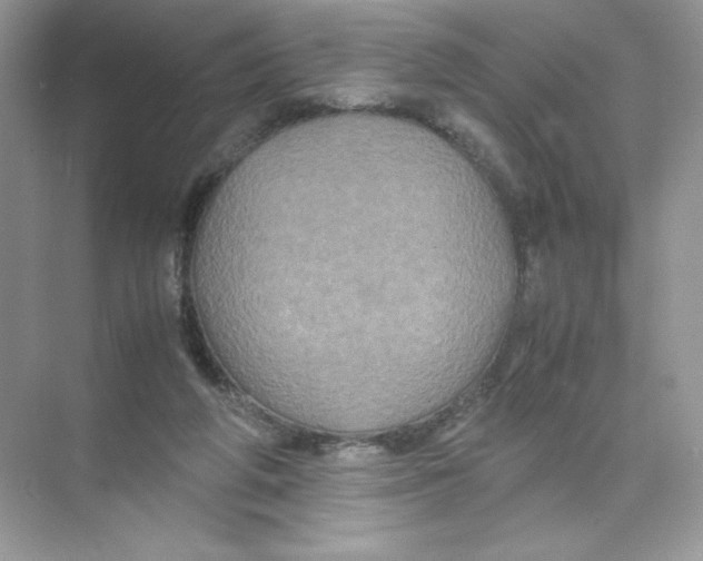 X0000074290210200609222317