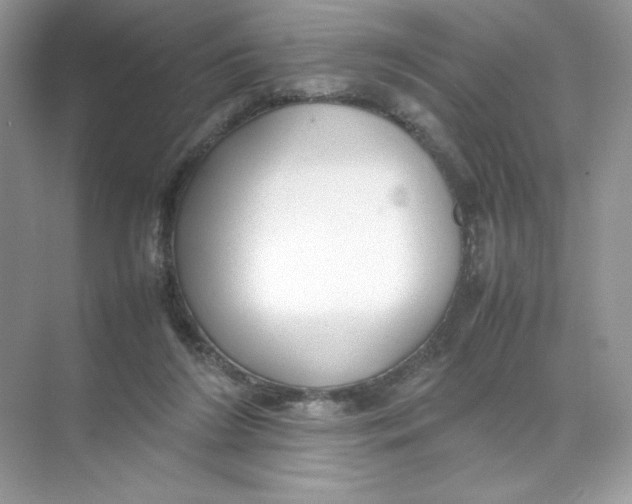 X0000074290212200609222317