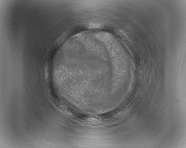 X0000074290215200609222317