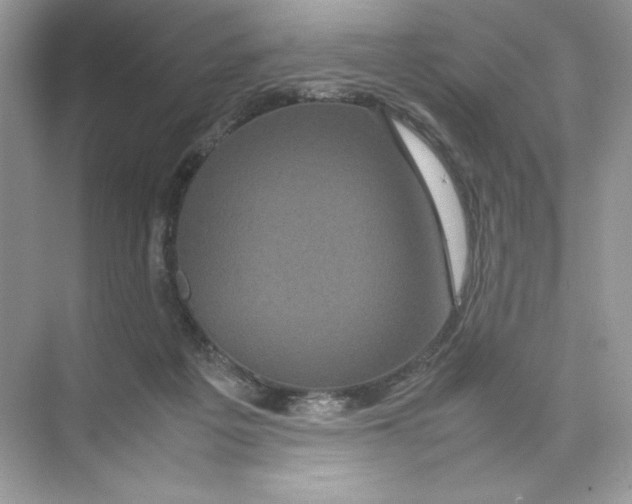 X0000074290217200609222317