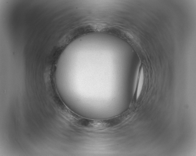 X0000074290221200609222317