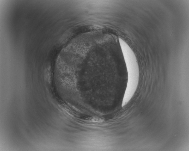 X0000074290223200609222317