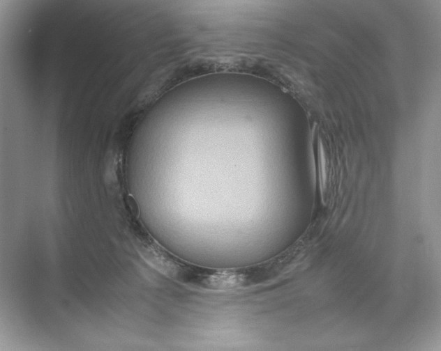 X0000074290225200609222317