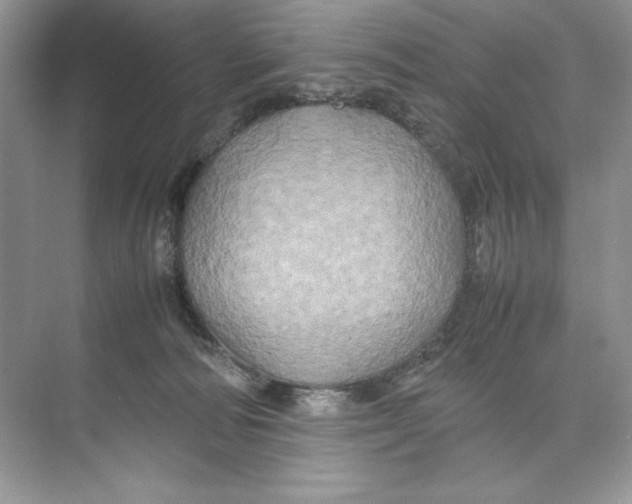 X0000074290226200609222317