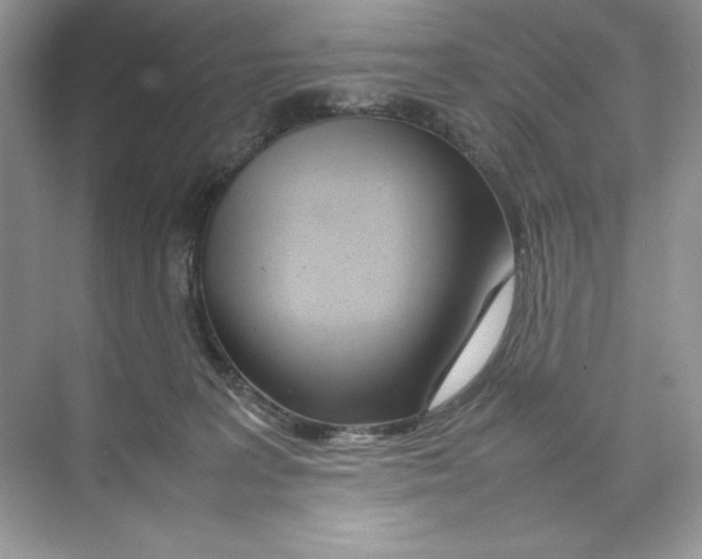 X0000074290227200609222317