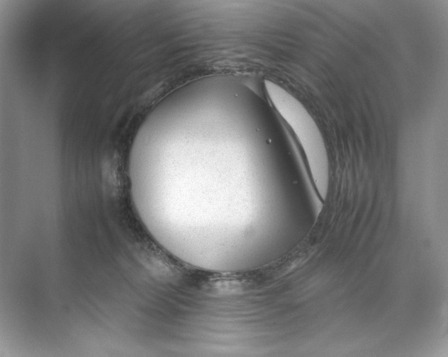 X0000074290228200609222317