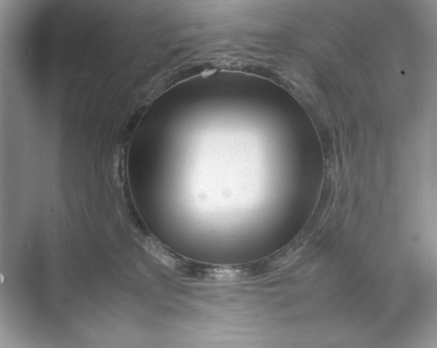 X0000074290233200609222317