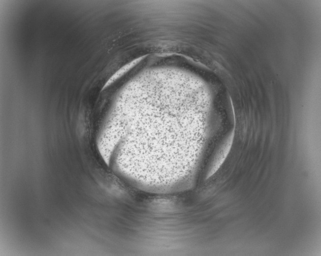 X0000074290236200609222317