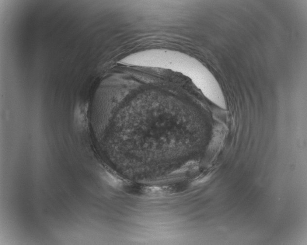 X0000074290239200609222317