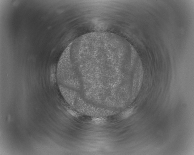 X0000074290240200609222317