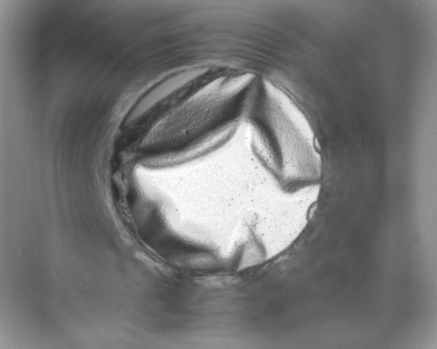 X0000074290241200609222316