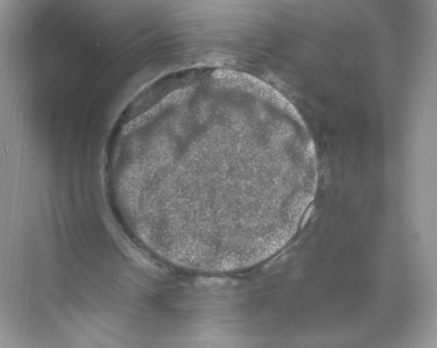 X0000074290242200609222316