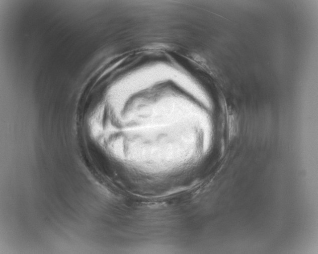 X0000074290243200609222316