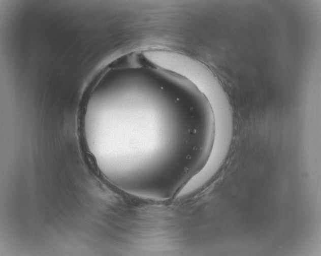 X0000074290244200609222316