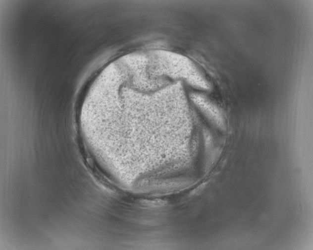 X0000074290245200609222316