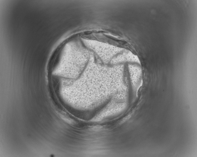 X0000074290246200609222316