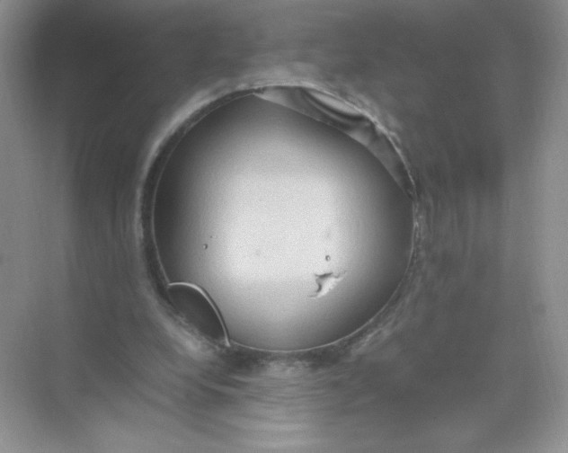 X0000074290248200609222316