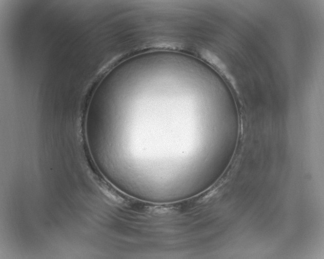 X0000074290249200609222316