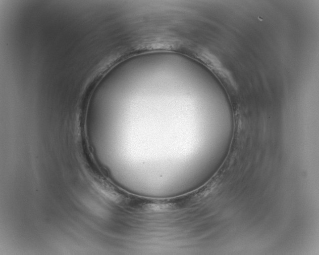 X0000074290250200609222316